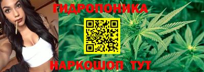прущие грибы Баксан
