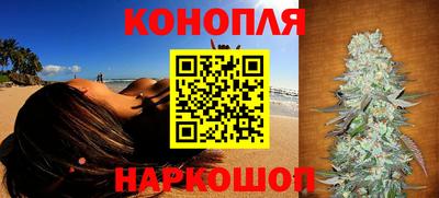 прущие грибы Баксан